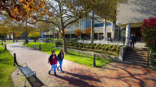 two students walking through campus