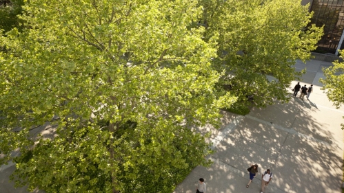 Campus picture, by Theo Anderson