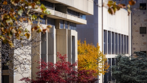 building exterior showing windows and trees