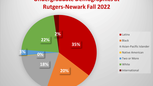 pie chart of Undergraduate Demographics at Rutgers-Newark Fall 2022