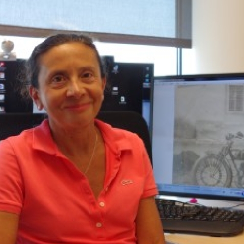 photo of Elena Galoppini, Distinguished Professor