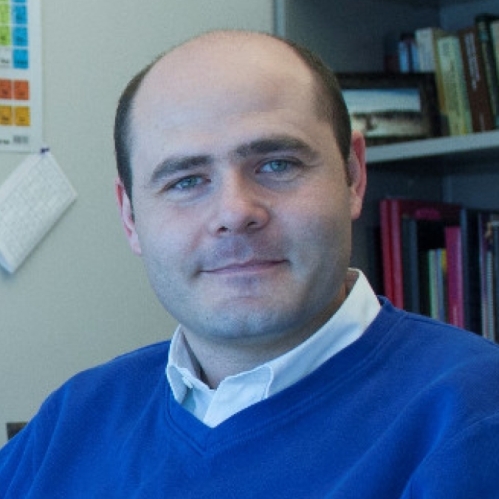 Photo of Michele Pavanello