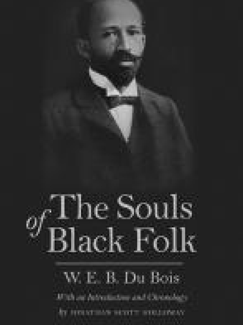 dp_test_the_souls_of_black_folk
