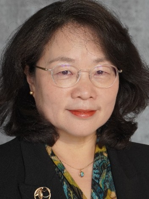 Photo of Haesun Kim, Professor