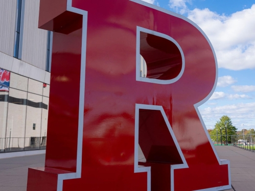 R Logo